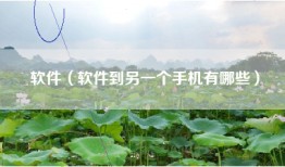 软件（软件到另一个手机有哪些）