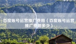 百度账号运营推广费用（百度账号运营推广费用多少）