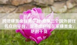 跨境赚美金任务平台-分享三个国外微任务众包平台，足不出户可在家赚美金，绝对干货