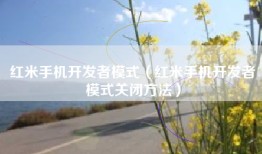 红米手机开发者模式（红米手机开发者模式关闭方法）