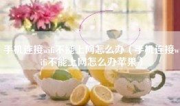 手机连接wifi不能上网怎么办（手机连接wifi不能上网怎么办苹果）