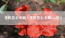 手机怎么卡刷（手机怎么卡刷rom包）