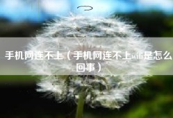 手机网连不上（手机网连不上wifi是怎么回事）