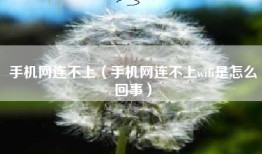 手机网连不上（手机网连不上wifi是怎么回事）