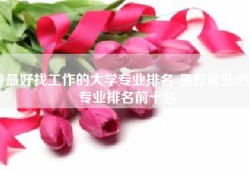 最好找工作的大学专业排名-最好就业的专业排名前十名