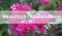 手机延迟怎么办（怎样解决手机延迟问题）