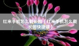 红米手机怎么截长图(红米手机怎么截长图快捷键)