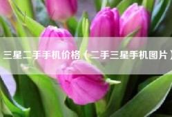 三星二手手机价格（二手三星手机图片）