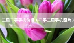 三星二手手机价格（二手三星手机图片）