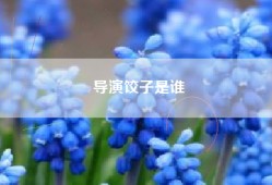 导演饺子是谁