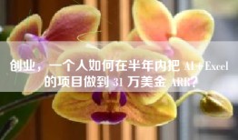 创业，一个人如何在半年内把 AI+Excel 的项目做到 31 万美金 ARR？