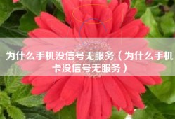 为什么手机没信号无服务（为什么手机卡没信号无服务）