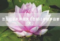 怎么让手机声音大（怎样让手机声音更大）