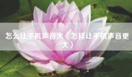 怎么让手机声音大（怎样让手机声音更大）