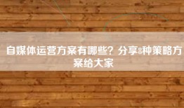 自媒体运营方案有哪些？分享8种策略方案给大家