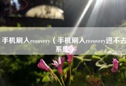 手机刷入recovery（手机刷入recovery进不去系统）