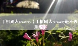 手机刷入recovery（手机刷入recovery进不去系统）