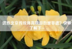 这些北京传统体育项目也是非遗？快来了解下~