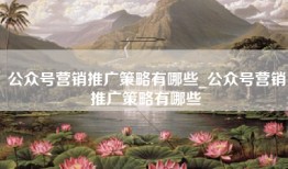 公众号营销推广策略有哪些_公众号营销推广策略有哪些