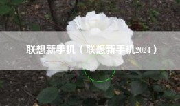 联想新手机（联想新手机2024）