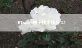 BTSearch种子搜索神器 2.5