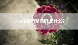SEM(搜索引擎营销)是什么？