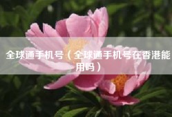 全球通手机号（全球通手机号在香港能用吗）