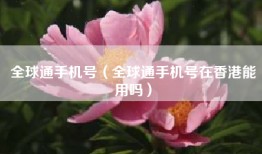 全球通手机号（全球通手机号在香港能用吗）