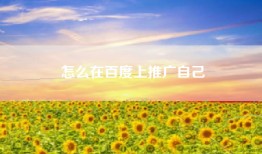 怎么在百度上推广自己