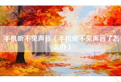 手机听不见声音（手机听不见声音了怎么办）