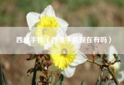 西维手机（西维手机现在有吗）