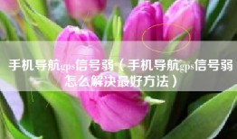 手机导航gps信号弱(手机导航gps信号弱怎么解决最好方法)