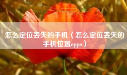 怎么定位丢失的手机（怎么定位丢失的手机位置oppo）