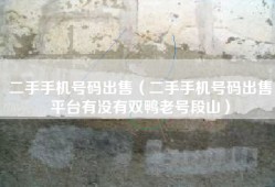 二手手机号码出售（二手手机号码出售平台有没有双鸭老号段山）