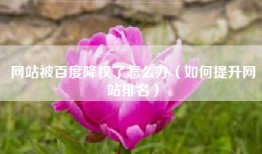 网站被百度降权了怎么办（如何提升网站排名）
