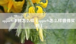 oppor9s手机怎么样（oppor9s怎么样值得买吗）