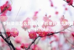 手机录音怎么剪切（手机录音怎么剪切一部分）