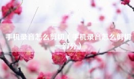 手机录音怎么剪切（手机录音怎么剪切一部分）