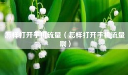 怎样打开手机流量（怎样打开手机流量啊）