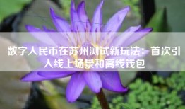 数字人民币在苏州测试新玩法：首次引入线上场景和离线钱包