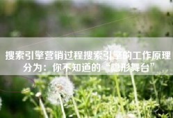 搜索引擎营销过程搜索引擎的工作原理分为：你不知道的“隐形舞台”