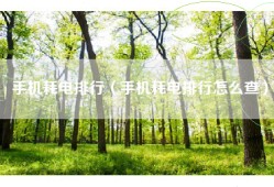 手机耗电排行（手机耗电排行怎么查）