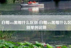 白帽seo黑帽什么区别-白帽seo黑帽什么区别举例说明
