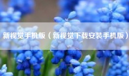 新视觉手机版（新视觉下载安装手机版）