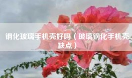 钢化玻璃手机壳好吗（玻璃钢化手机壳缺点）