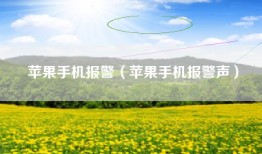 苹果手机报警（苹果手机报警声）