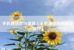 手机通话如何录音（手机通话如何录音保存）