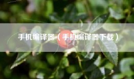 手机编译器（手机编译器下载）