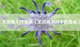 生活离不开手机（生活离不开手机英语）