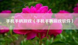 手机手柄游戏（手机手柄游戏软件）
